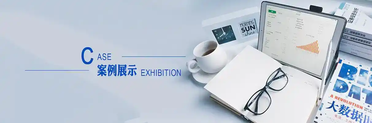 平湖市软件开发